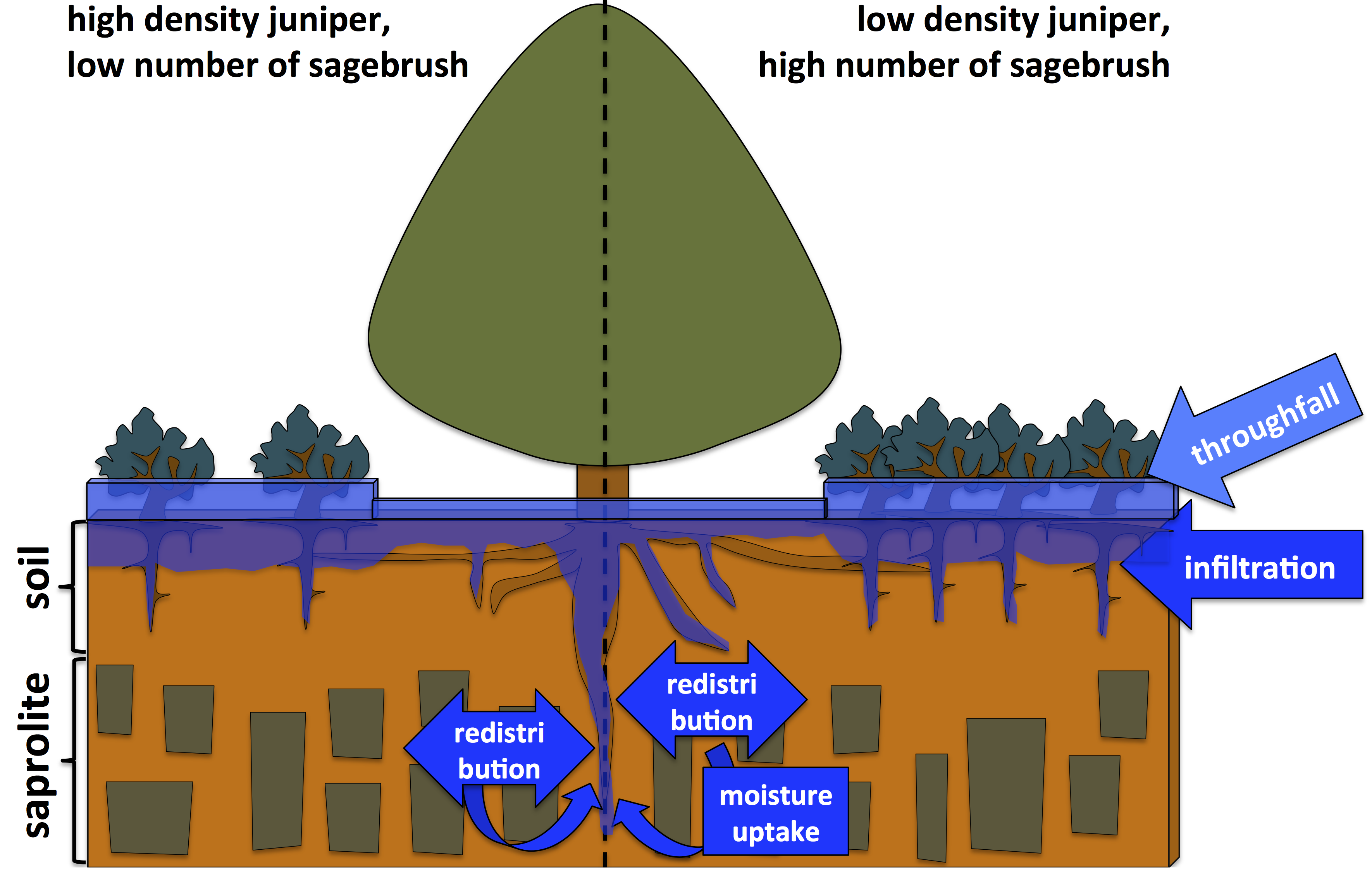 juniper hydro conceptual model
