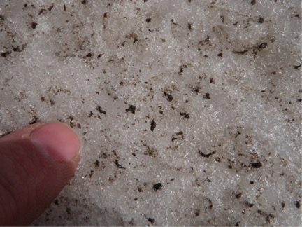 close up of dust on snow